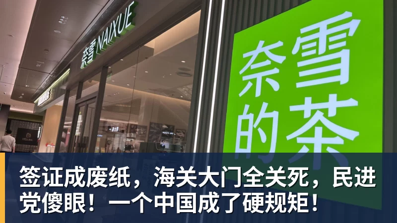 签证成废纸,海关大门全关死,民进党傻眼!一个中国成了硬规矩! 签证成废纸,海关大门全关死,民进党傻眼!一个中国成了硬规矩!