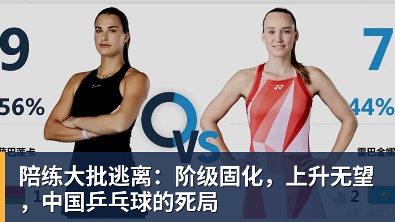陪练大批逃离:阶级固化,上升无望,中国乒乓球的死局 陪练大批逃离:阶级固化,上升无望,中国乒乓球的死局