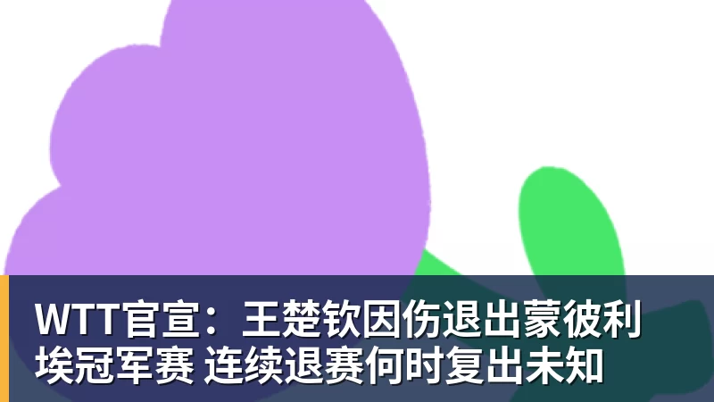 WTT官宣：王楚钦因伤退出蒙彼利埃冠军赛 连续退赛何时复出未知